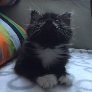 Meet your Posher, Theresa